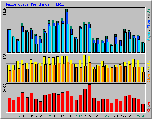 Daily usage for January 2021