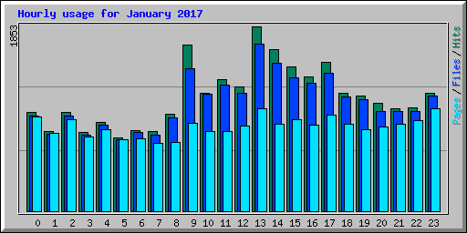 Hourly usage for January 2017