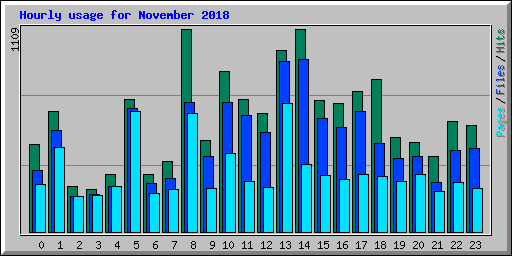 Hourly usage for November 2018
