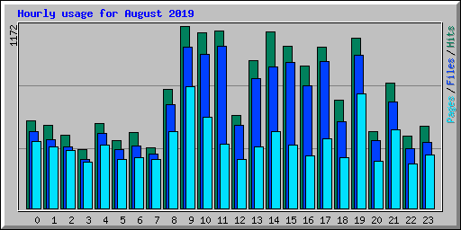 Hourly usage for August 2019