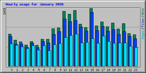 Hourly usage for January 2020