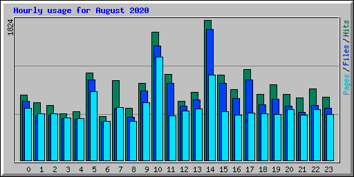 Hourly usage for August 2020
