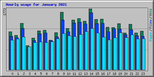 Hourly usage for January 2021