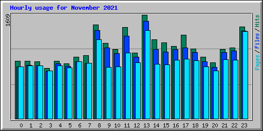 Hourly usage for November 2021