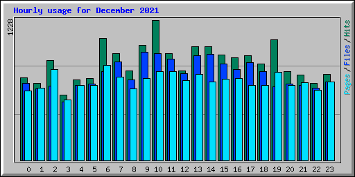 Hourly usage for December 2021