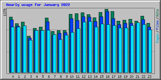 Hourly usage for January 2022