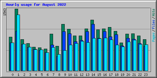 Hourly usage for August 2022