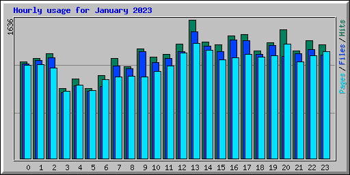 Hourly usage for January 2023